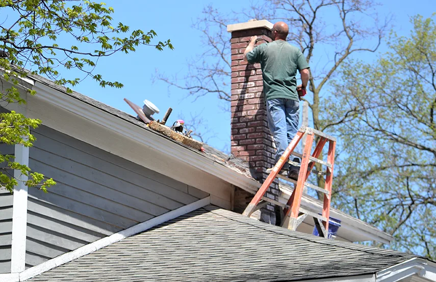 Chimney & Fireplace Inspections Services in Pikesville, MD